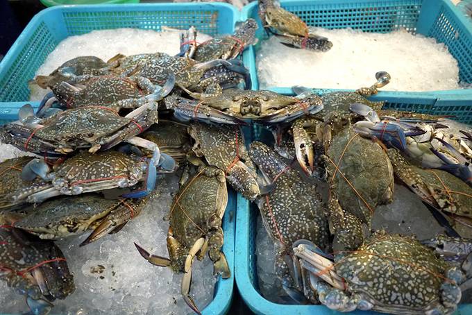 crabs in boxes crabs in boxes