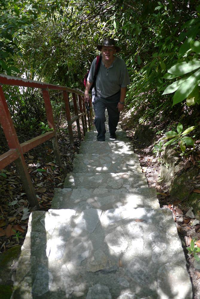 Stone steps Stone steps
