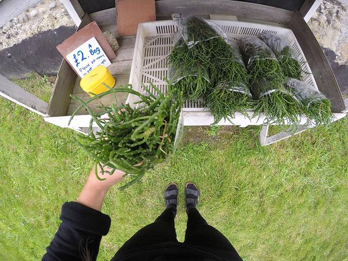 Buying samphire Buying samphire