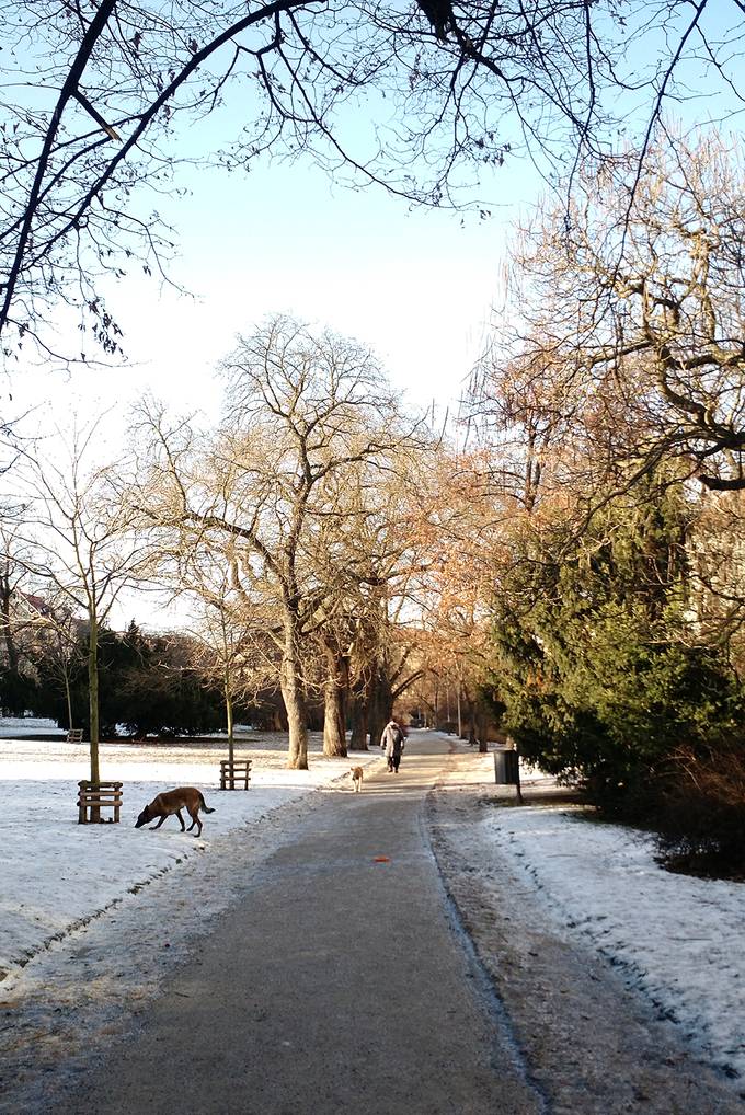 A snowy park A snowy park