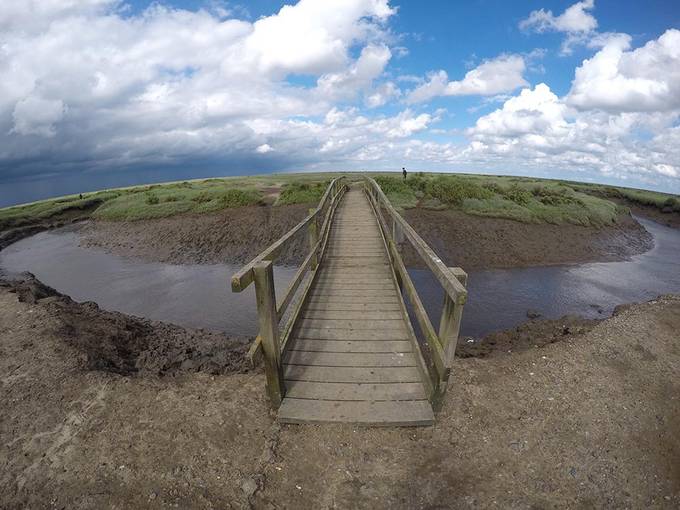 Lots of mud! Lots of mud!