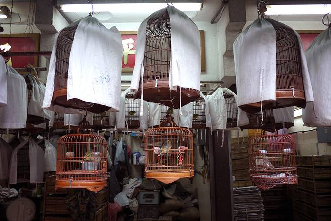 Yuen Po Street bird garden Yuen Po Street bird garden