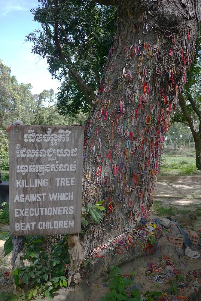 Tree where children were killed Tree where children were killed