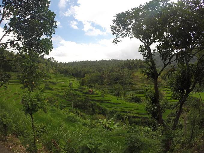 Rice terrace Rice terrace