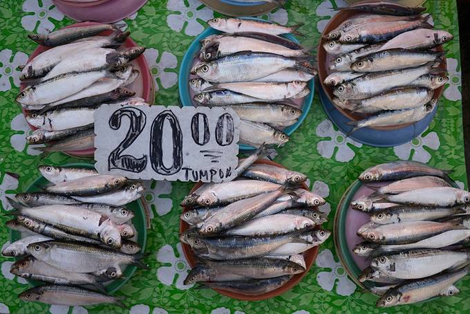 Fish for sale in the market Fish for sale in the market