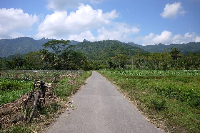 Bike in the countryside Bike in the countryside