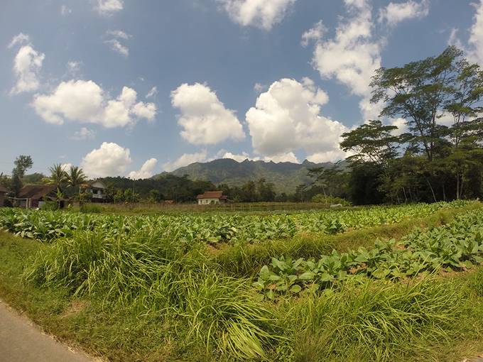 Borobudur countryside Borobudur countryside