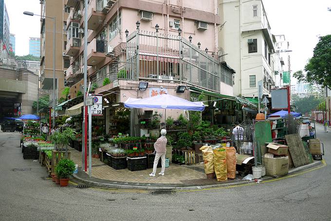 Hong Kong flower market Hong Kong flower market