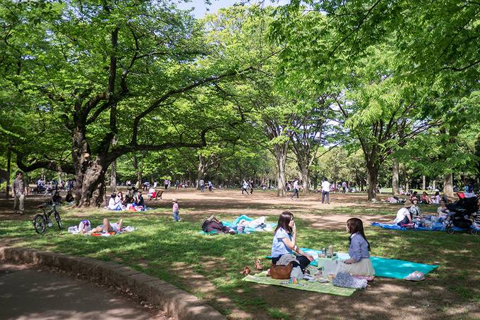 Yoyogi Park Yoyogi Park