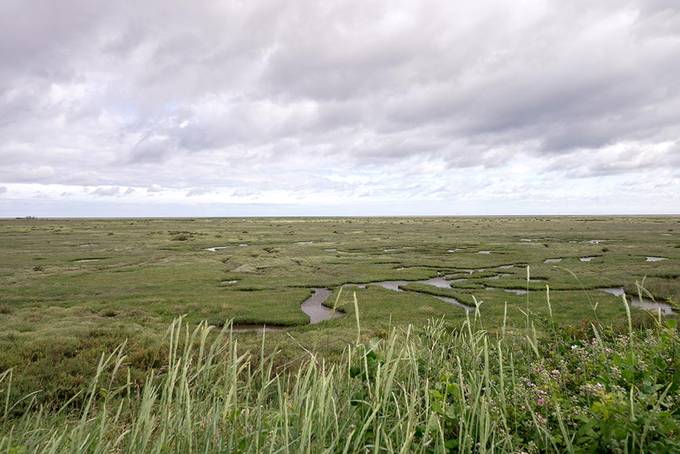 Stiffkey salt marshes Stiffkey salt marshes