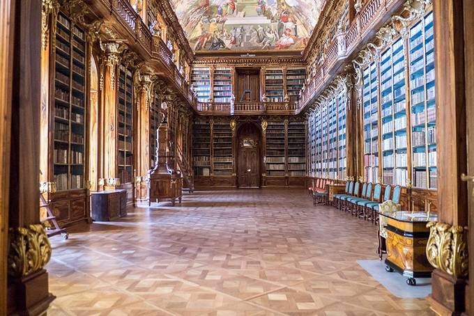 The incredible library The incredible library